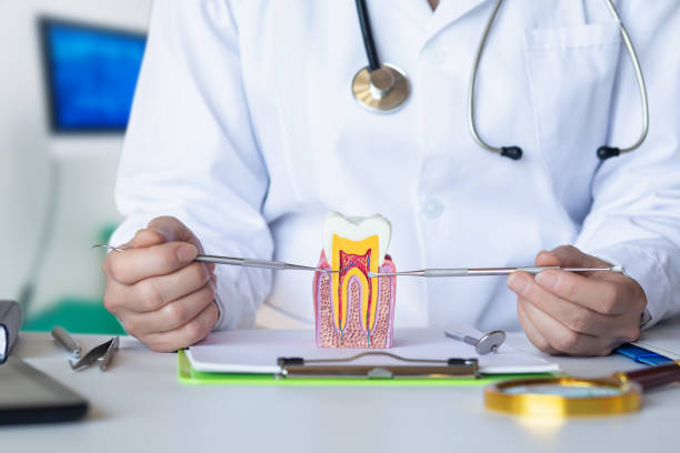 Best Emergency Treatment for Dental Infections or Abscesses in New Waverly, TX